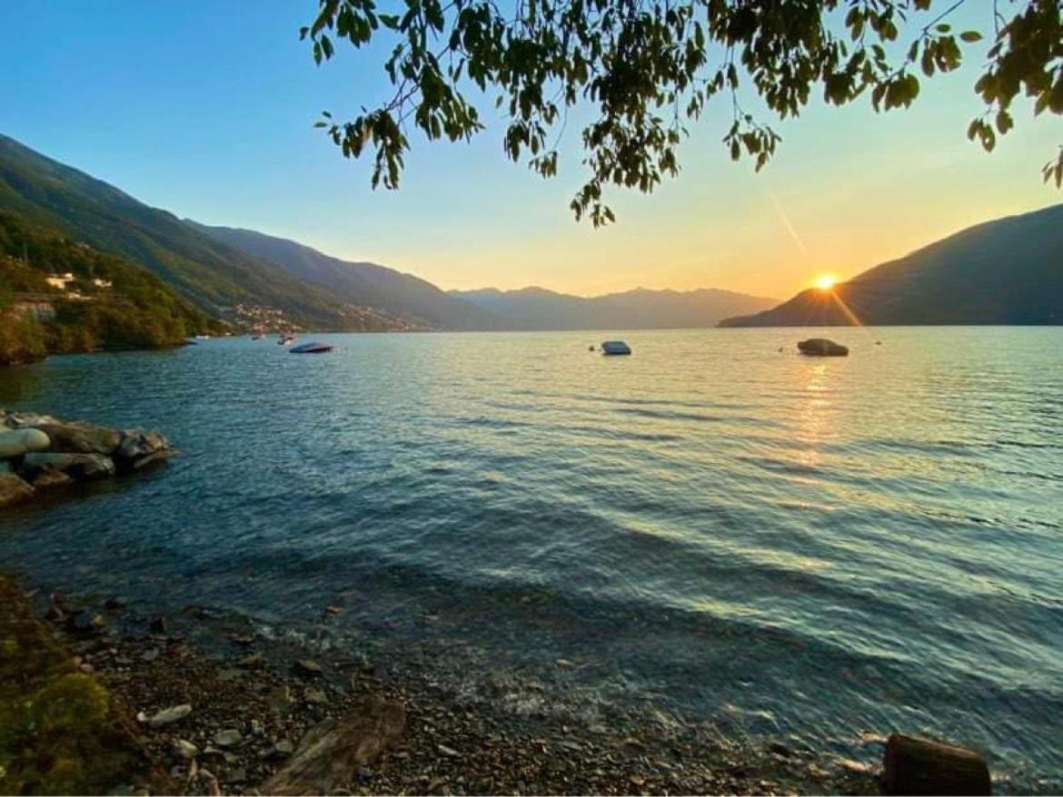 Lakeview Cannobio Camping & Resort المظهر الخارجي الصورة